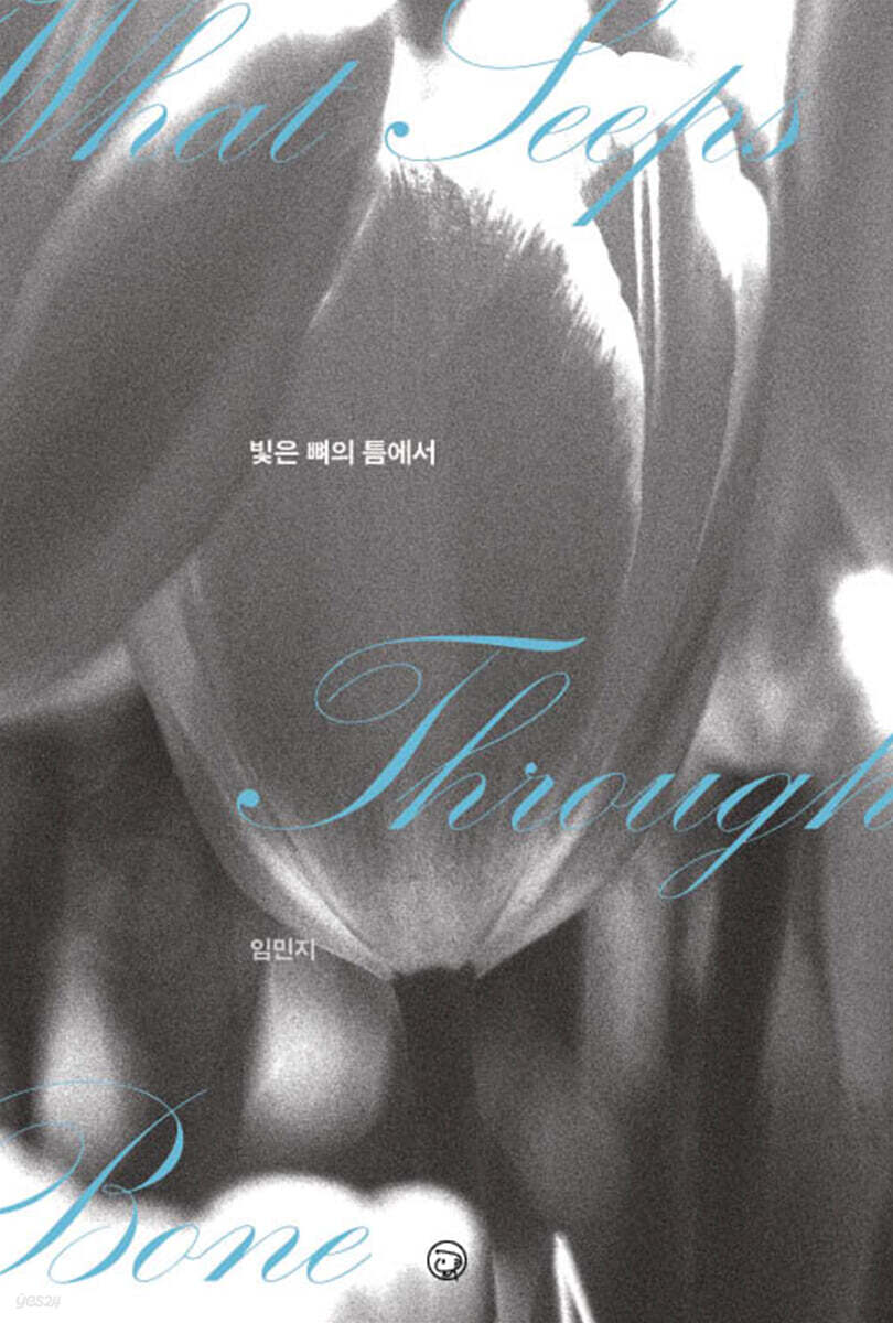 빛은 뼈의 틈에서