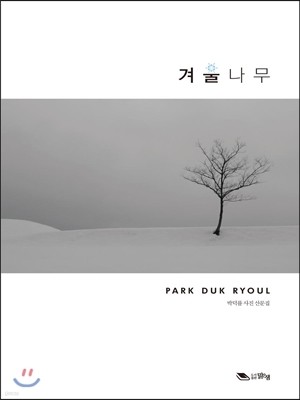 겨울나무