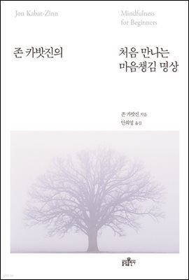 존 카밧진의 처음 만나는 마음챙김 명상