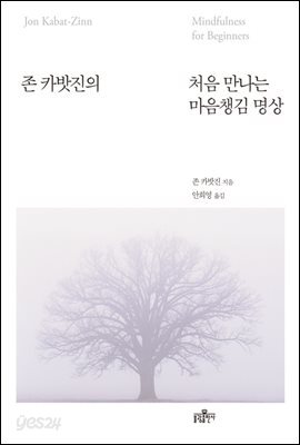 존 카밧진의 처음 만나는 마음챙김 명상
