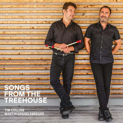 Tim Collins & Martin Gasselsberger — Tim Collins & Martin Gasselsberger (팀 콜린스 & 마틴 가셀스베르거) -Songs From The Treehouse 앨범 커버