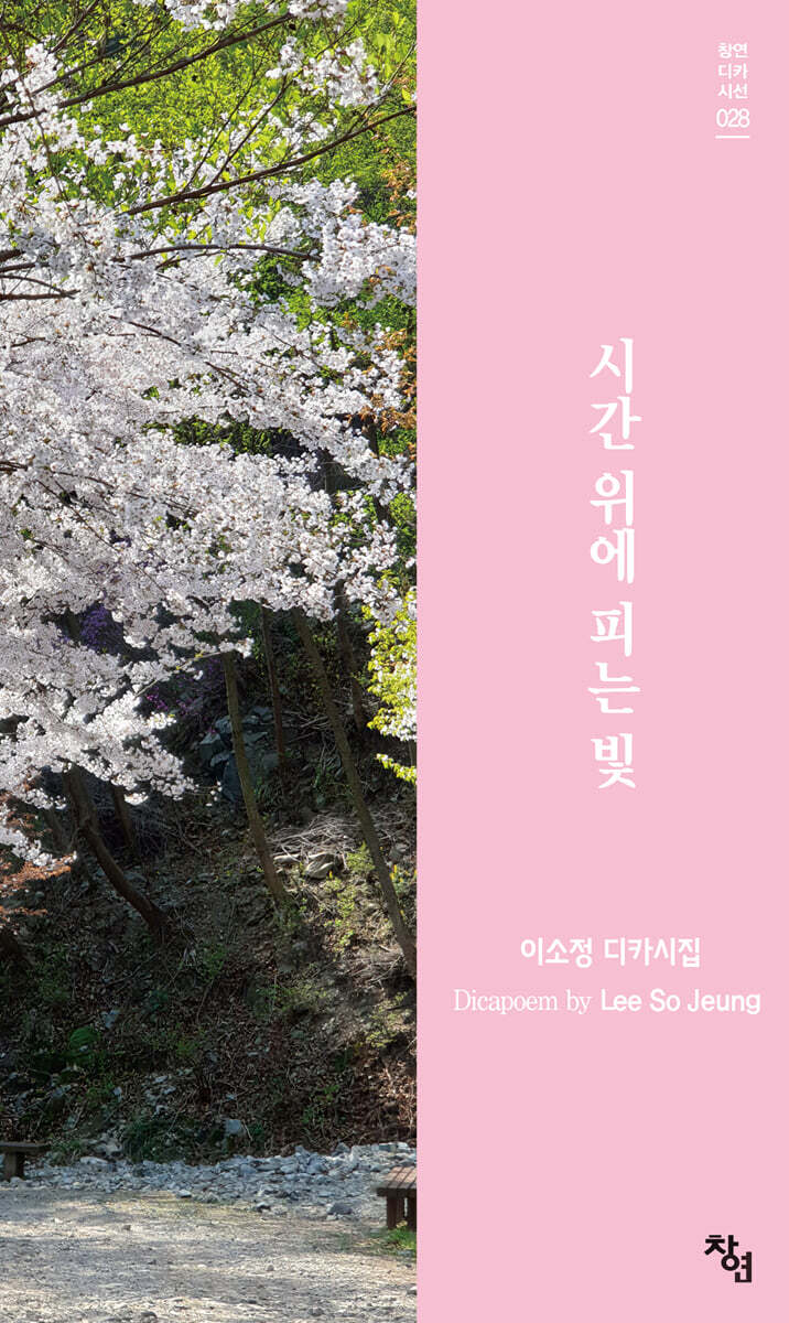 시간 위에 피는 빛