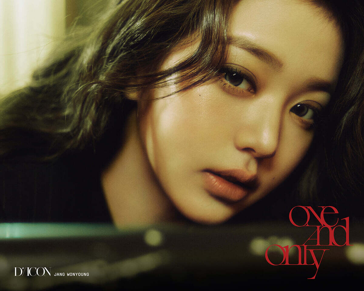 DICON VOLUME N°31 JANG WONYOUNG [D-type]