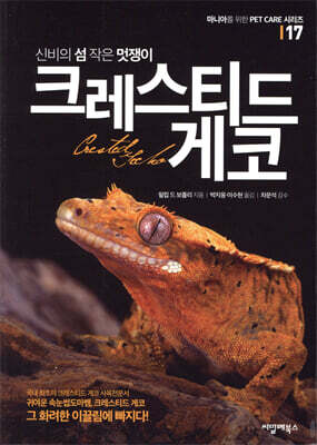 신비의 섬 작은 멋쟁이 크레스티드 게코