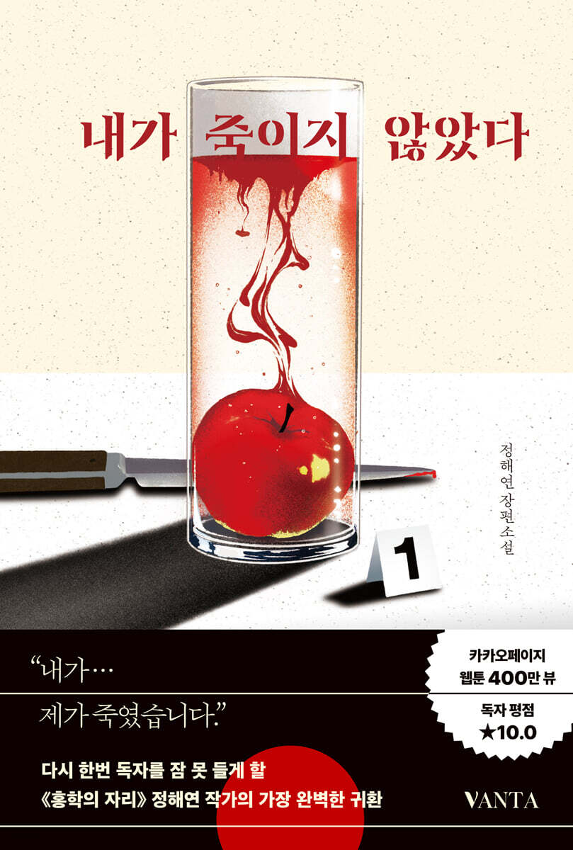 내가 죽이지 않았다 (큰글자도서)