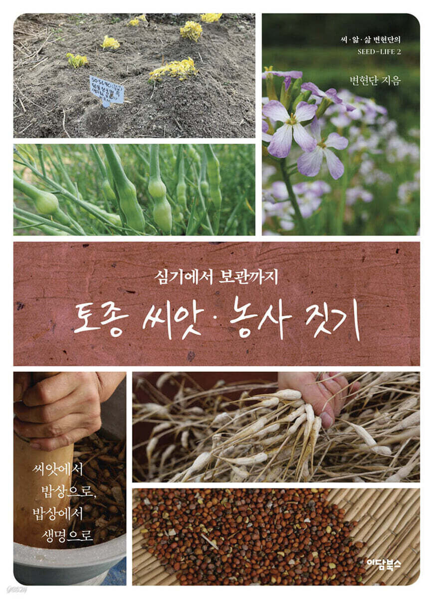 토종씨앗 농사짓기 (큰글자도서)