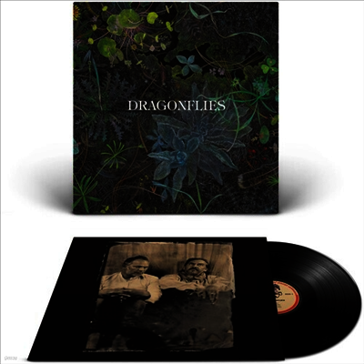Dragonflies — Dragonflies 앨범 커버