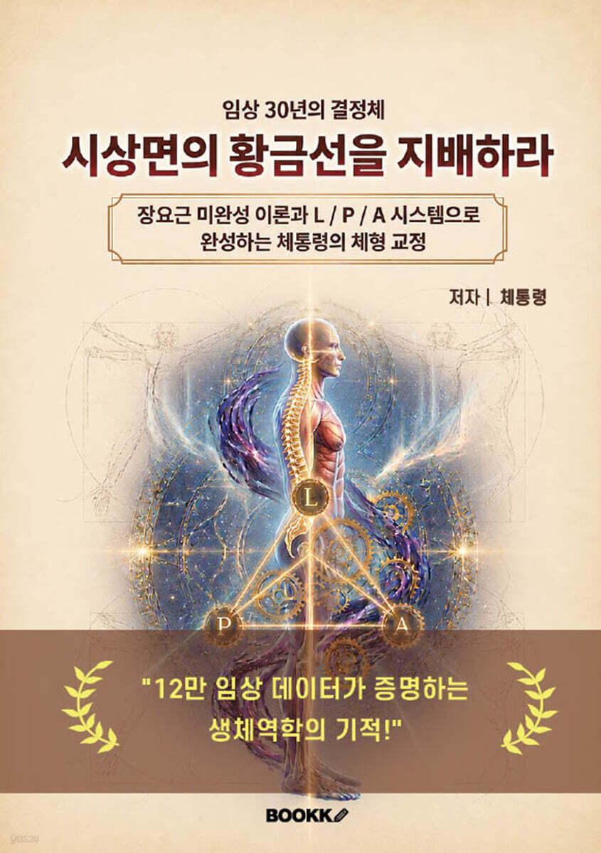 시상면의 황금선을 지배하라