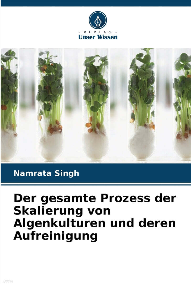 Der gesamte Prozess der Skalierung von Algenkulturen und deren Aufreinigung