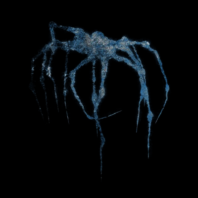 Thornhill - Bodies Definitive (Reissue)(CD)