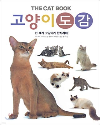 고양이 도감