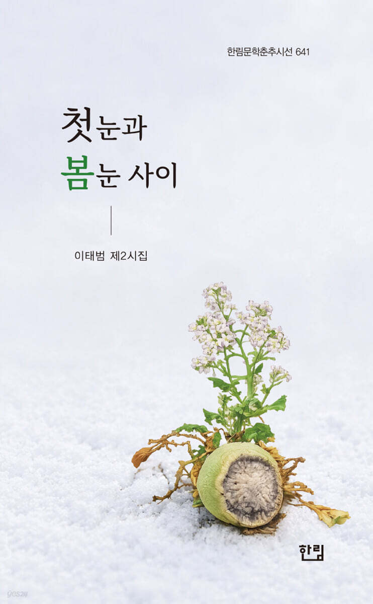 첫눈과 봄눈 사이