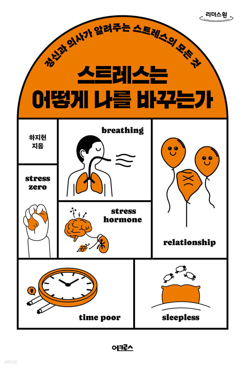 스트레스는 어떻게 나를 바꾸는가 (큰글자도서)