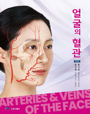 얼굴의 혈관