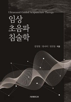 임상 초음파 침술학