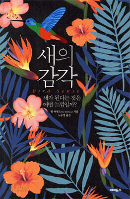 [중고-상] 새의 감각