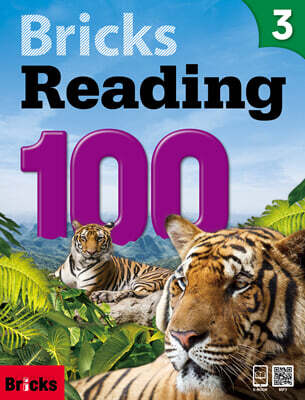 Bricks Reading 100 3