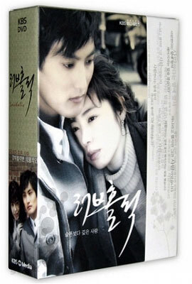 러브홀릭 : KBS 미니시리즈 (6Disc)