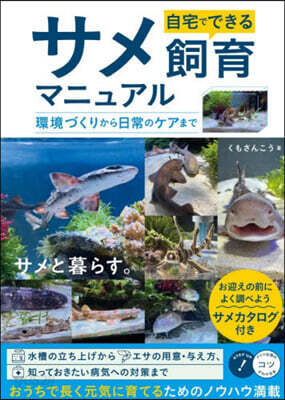 自宅でできるサメ飼育マニュアル