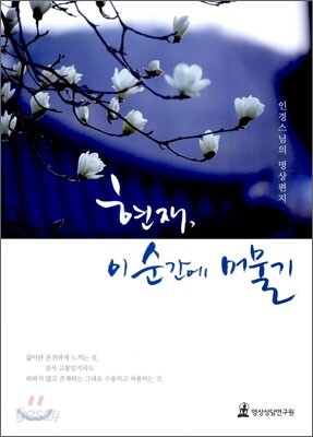 [중고-최상] 현재, 이 순간에 머물기