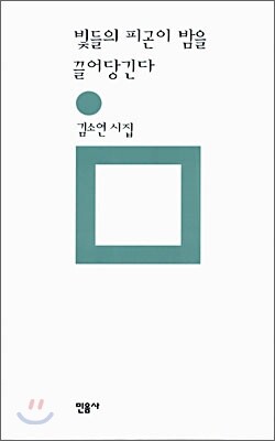 빛들의 피곤이 밤을 끌어당긴다