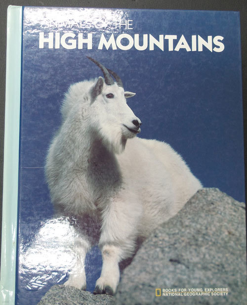 Animal of the High Mountains
