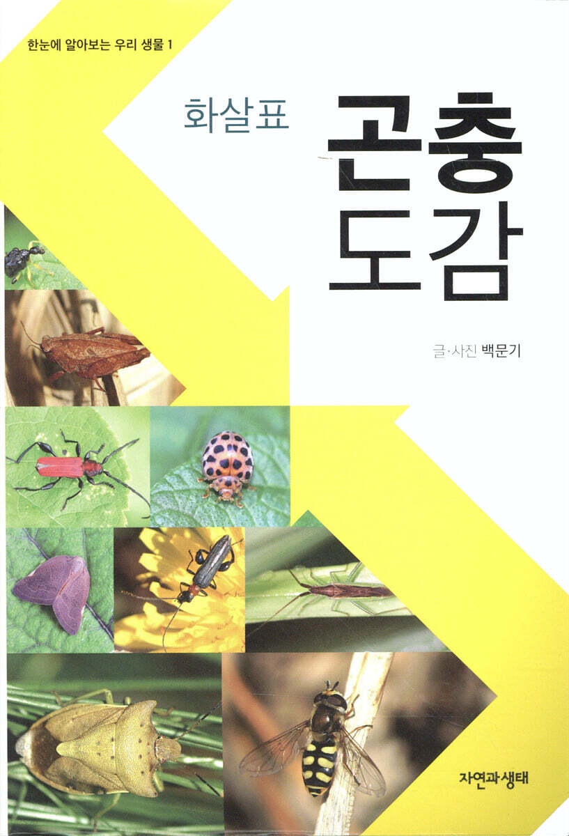 화살표 곤충 도감