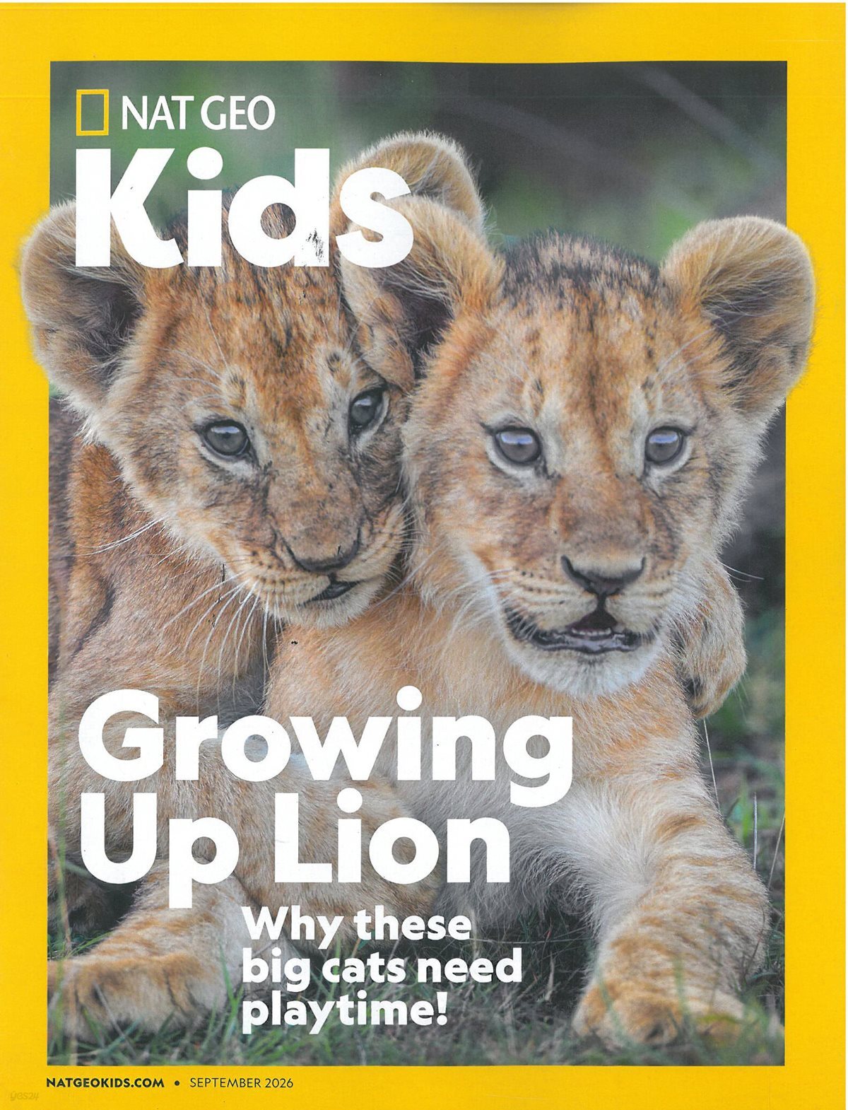 National Geographic Kids (월간) : 2026년 09월