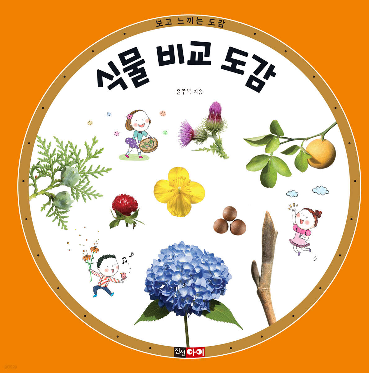 식물 비교 도감