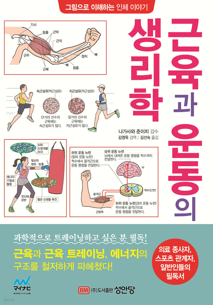 근육과 운동의 생리학