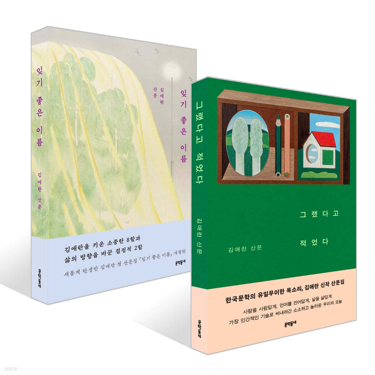 그랬다고 적었다 + 잊기 좋은 이름 세트