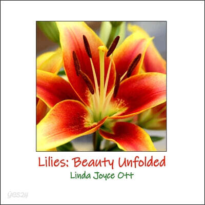Lilies: Beauty Unfolded