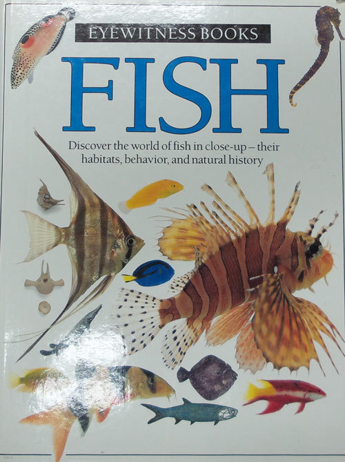 Eyewitness Books Fish