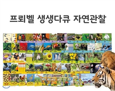 [프뢰벨] 생생다큐자연관찰 (교재 50권, DVD8장, 오디오 CD2장, 부모지침서1권) - ★2015 최신판 정품도서★