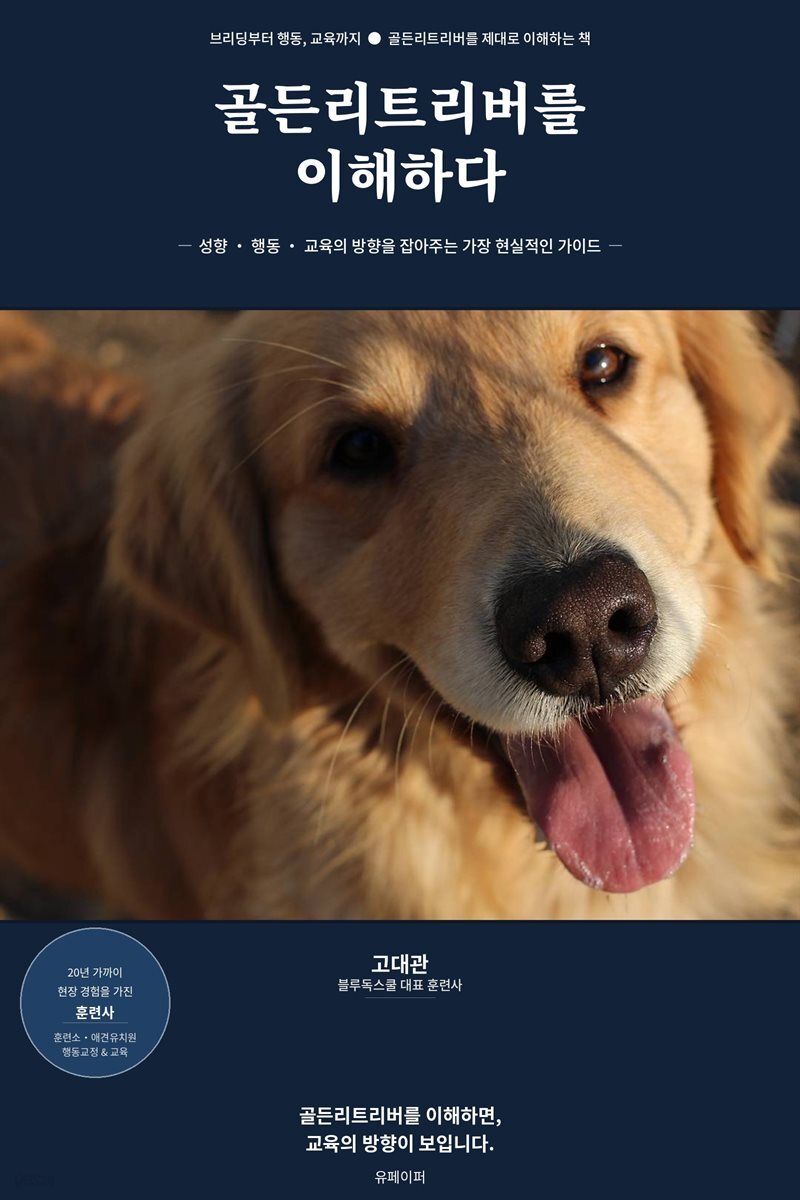 골든리트리버를 이해하다