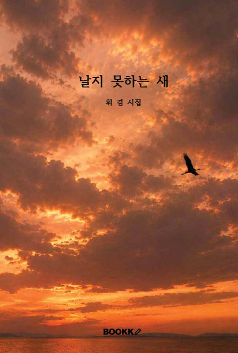 날지 못하는 새