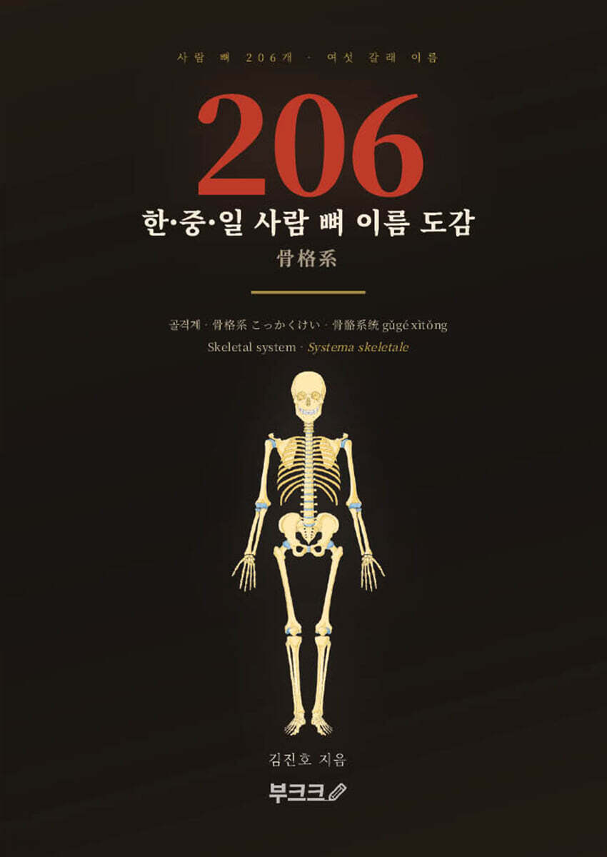 한·중·일 사람 뼈 이름 도감 206