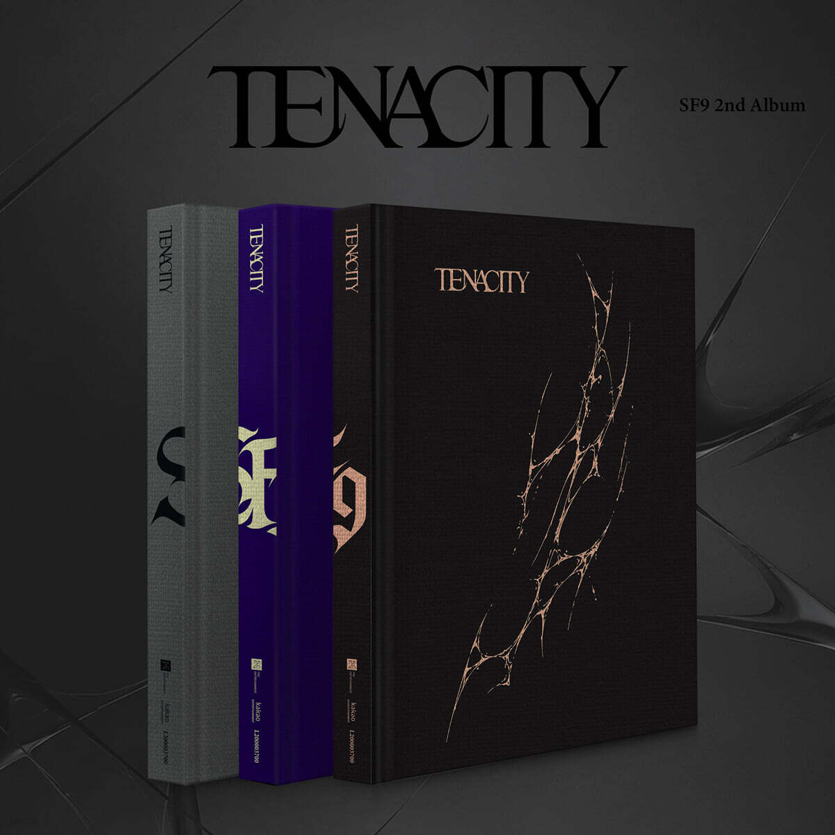 에스에프나인 (SF9) - 2집 : TENACITY [3종 SET]