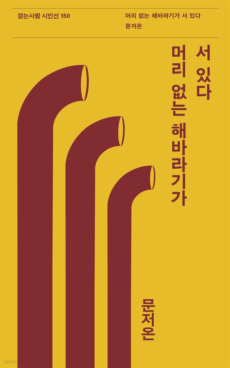 머리 없는 해바라기가 서 있다