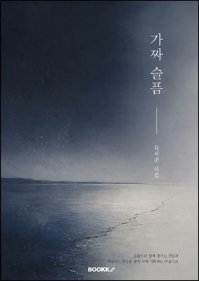 가짜 슬픔