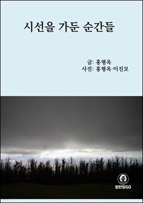 시선을 가둔 순간들