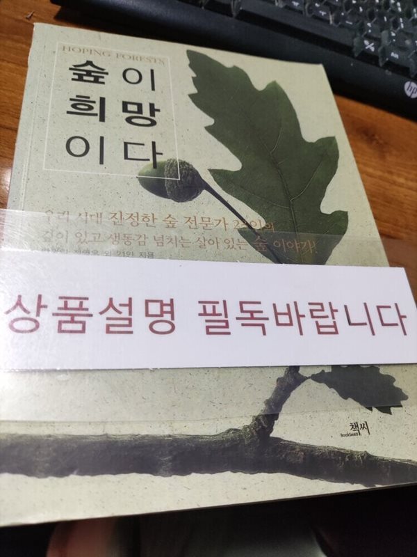 숲이 희망이다