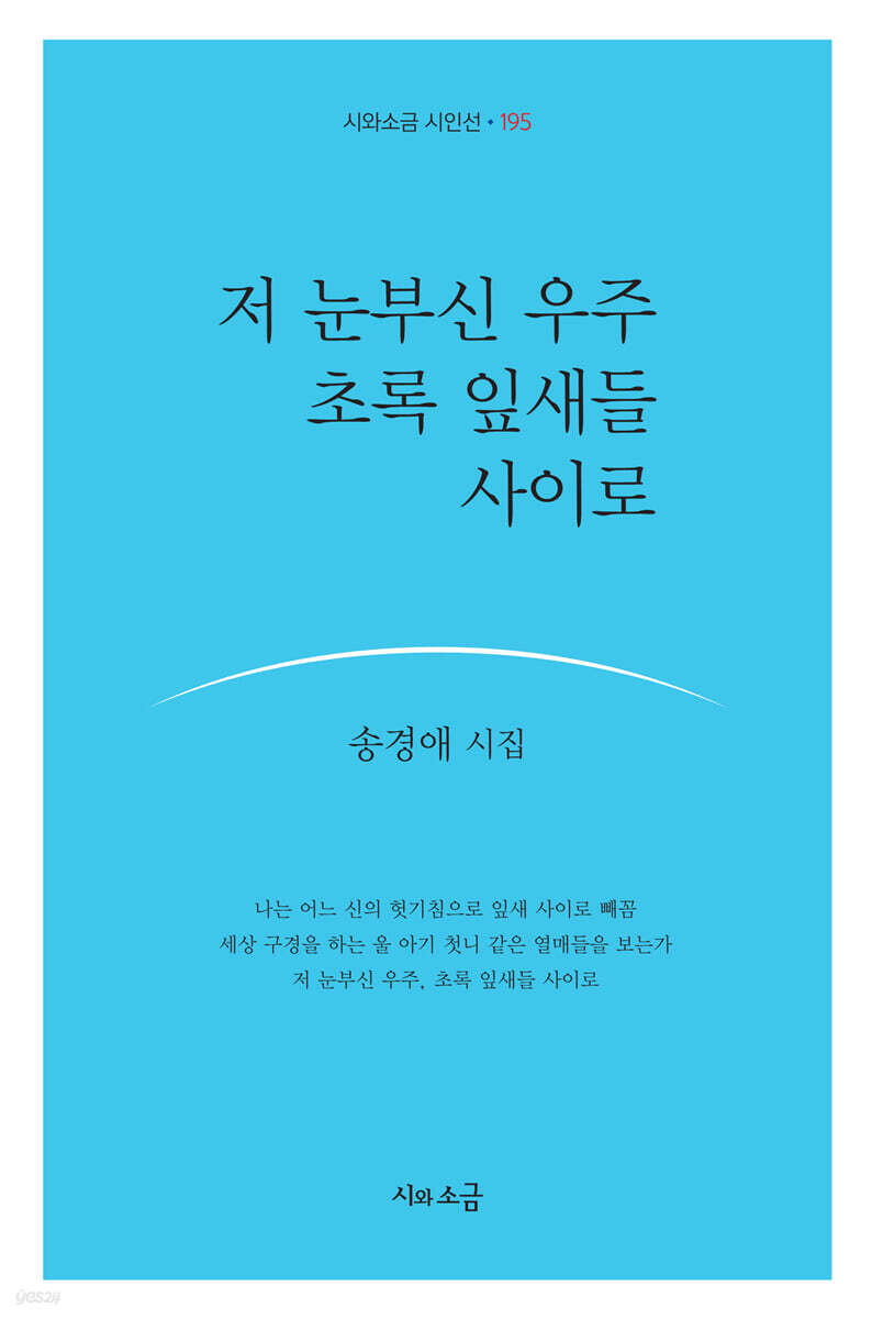 저 눈부신 우주 초록 잎새들 사이로