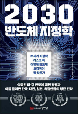 2030 반도체 지정학 - 21세기 지정학 리스크 속 어떻게 반도체 초강국이 될 것인가