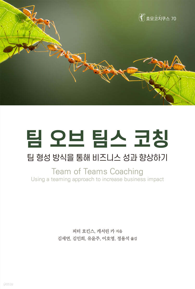 팀 오브 팀스 코칭
