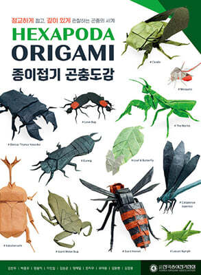 HEXAPODA ORIGAMI 종이접기 곤충도감 — 한국종이접기협회 책 표지