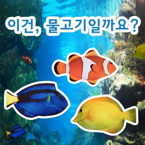 생선필통 흰동가리 블루탱 옐로탱
