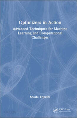 Optimizers in Action