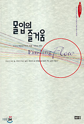 몰입의 즐거움