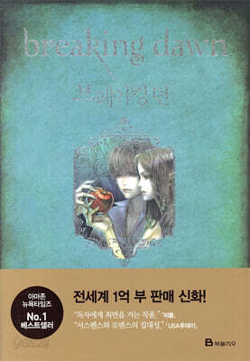 브레이킹 던